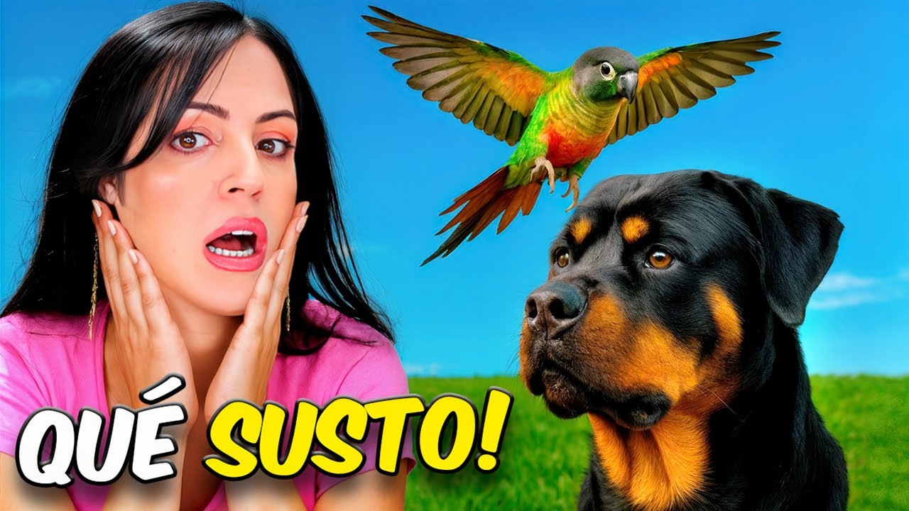La Cotorra Vuela y Cae Encima del Perro 😱 Sandra Cires Vlog
