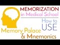 Memorization | Memory Palace and Mnemonics | How to Actually USE Them