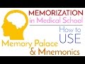 Memory Techniques in Medical School