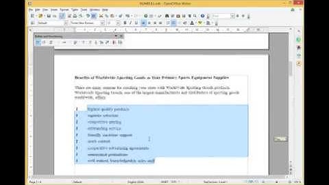 09 Customising Bullets and Numbers