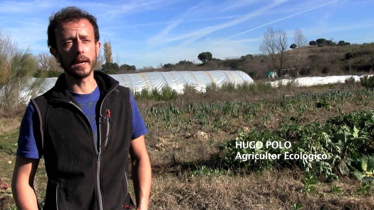 Agricultura ecológica en Quijorna