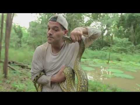 Wild Frank : nez à nez avec un Anaconda