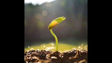 By sowing the right seeds today, we can reap a better tomorrow for all.