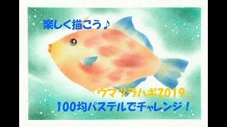 パステルアート315「ウマヅラハギ2019」の描き方　100均パステルでチャレンジ！楽しく描こう★