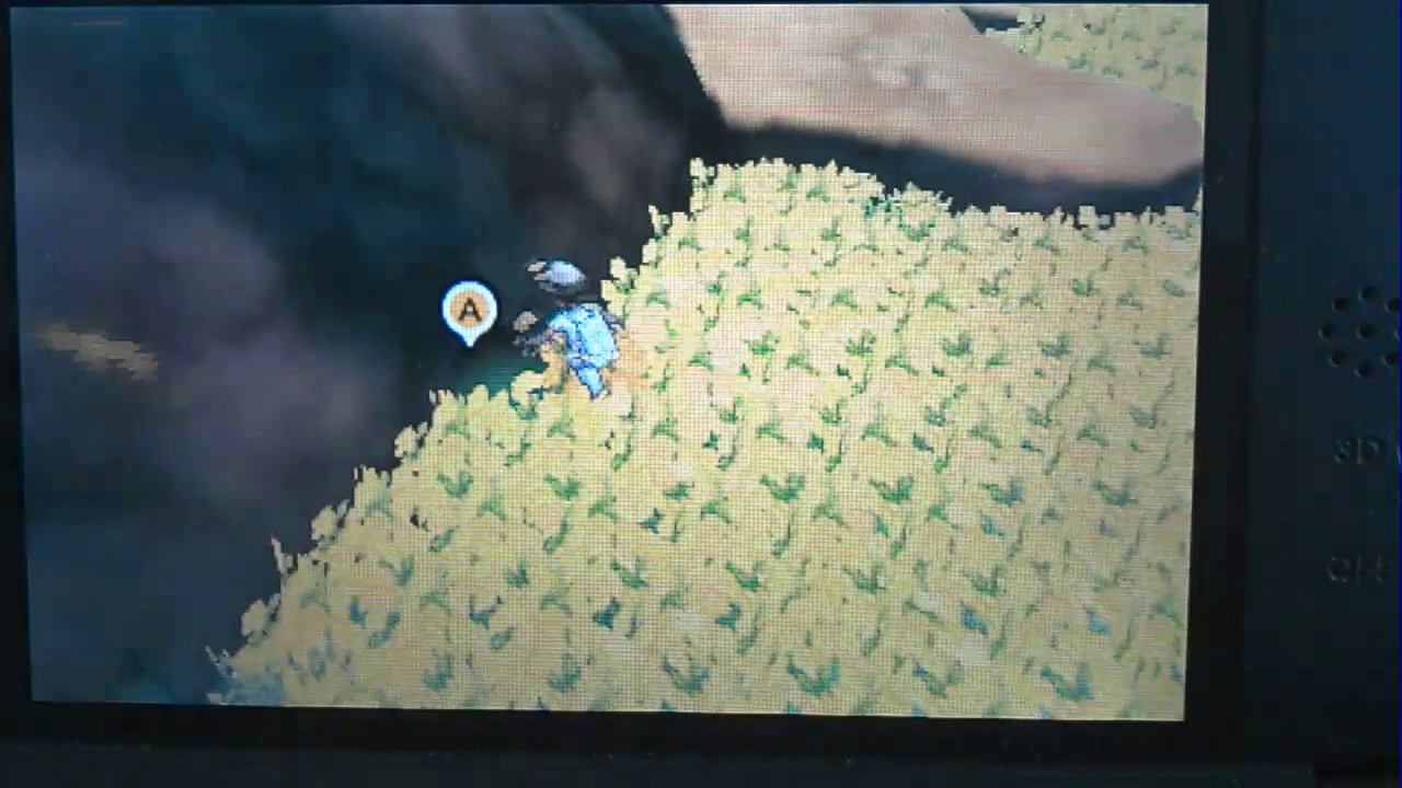 Comment Aller Sur La Baie De Kalae Sur Pokémon Soleil Et Lune