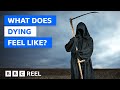 How does it feel to die? – BBC REEL