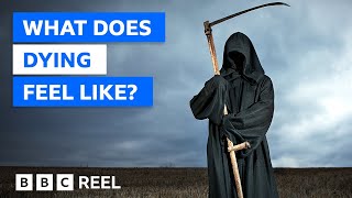 How does it feel to die? - BBC REEL