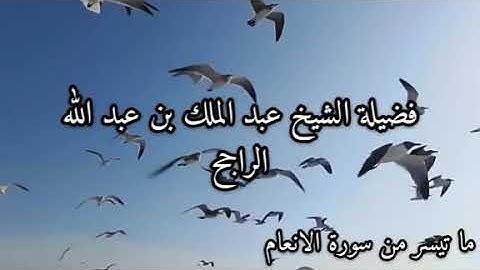 تلاوة هادئة ما تيسر من سورة الانعام