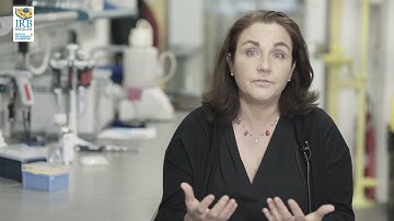 Cellular models: organoids - Dr. Elena Sancho