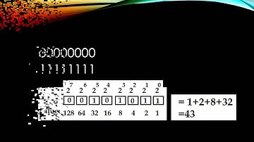 Bits, Bytes and Word