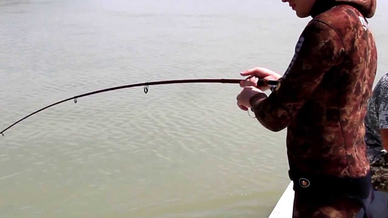 Fishing. Kazakhstan. Рыбалка на Балхаше. Белый амур и судаки YouTube