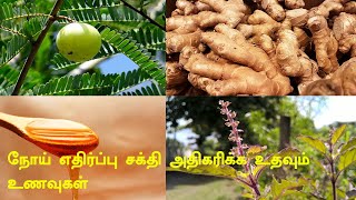 Top 12 Immunity Boosting Foods in Tamil|TamilHow to Boost Immunity|Tamilneithal