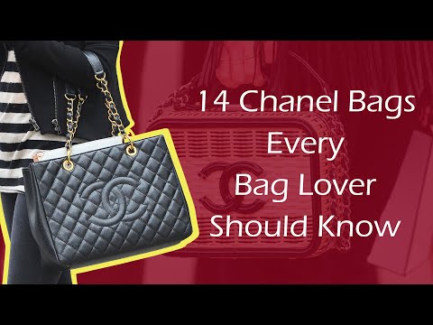 14 Chanel Bags
