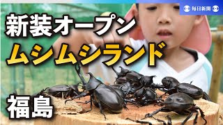 「ムシムシランド」新装オープン　カブトムシ６４０匹放ち　福島