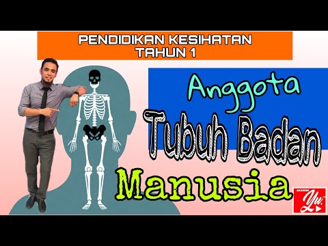 Video: Perbezaan Antara Konteks Dan Kandungan