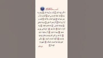 سورة البلد - سعد الغامدي 💞🌿 #طمأنينة#سعد_الغامدي #قرآن #quran