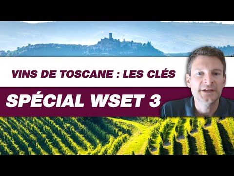 Vidéo: Les meilleurs vignobles de Toscane