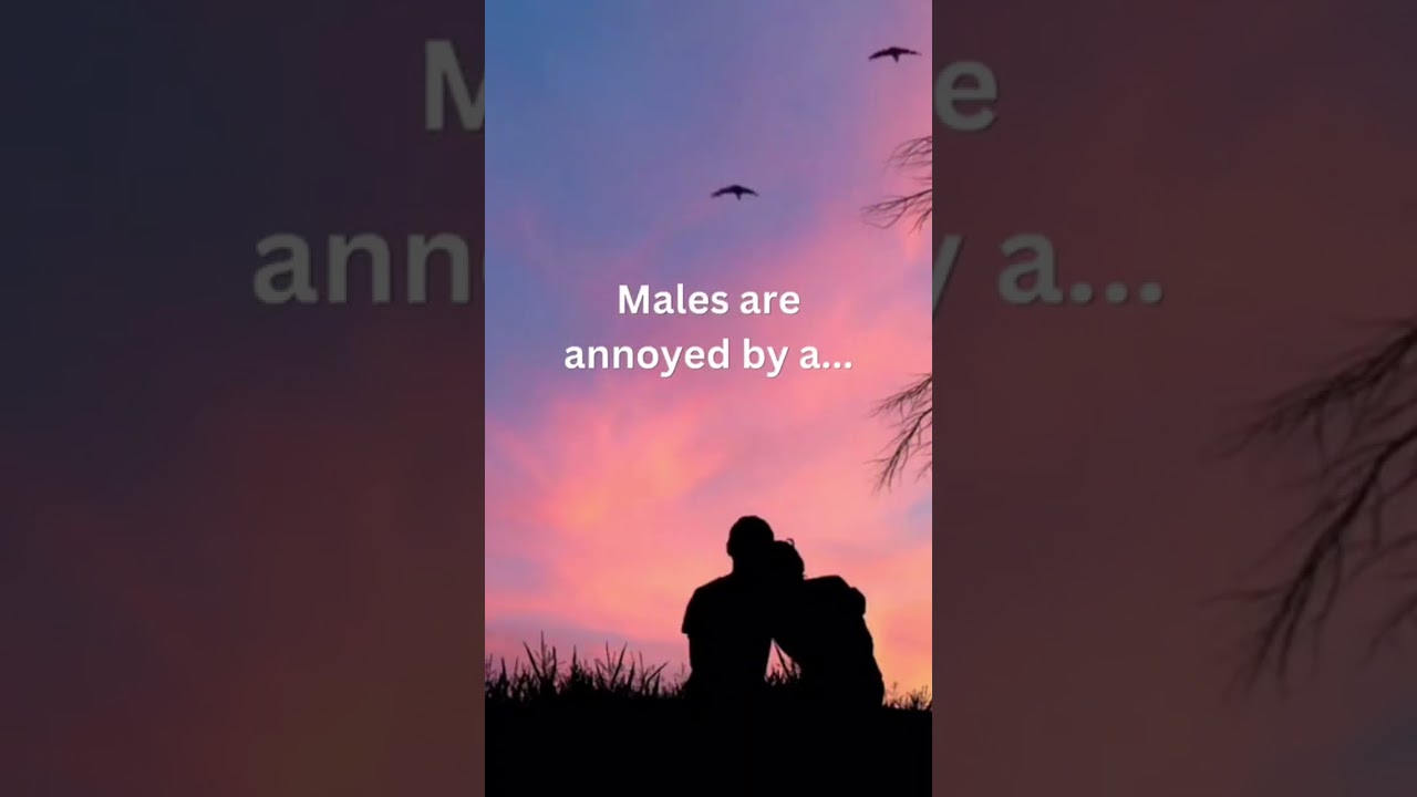 Terrible habits men hate most in a woman...male facts 