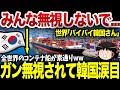 【ゆっくり解説】 韓国を世界の船舶が素通り...輸出不能に陥り経済機能が完全消滅www