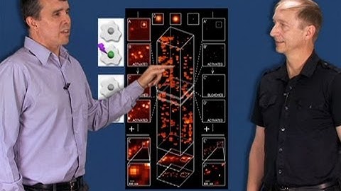 Eric Betzig and Harald Hess (Janelia Farm/HHMI): Developing PALM Microscopy