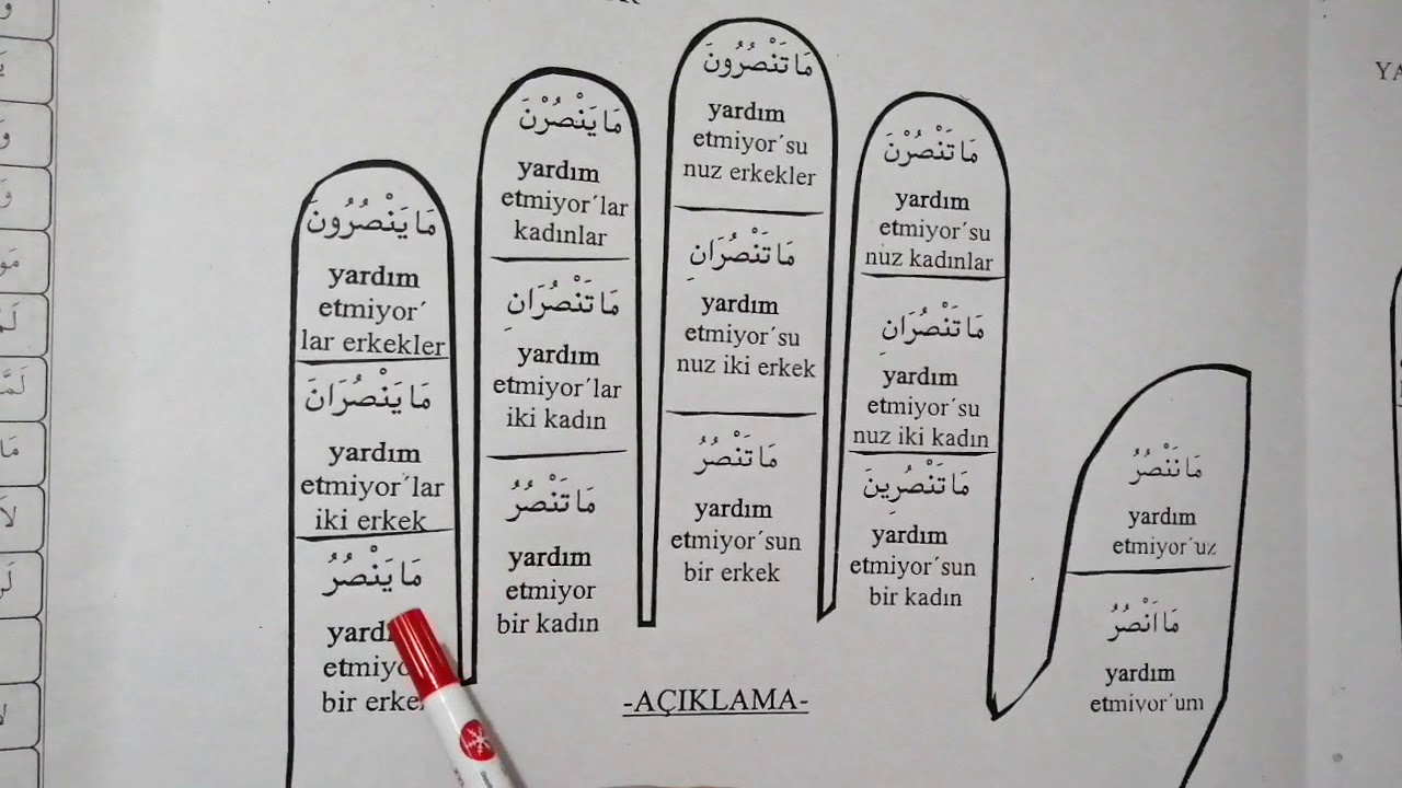 8-Fi'l-i Muzari Nefy Hal konusu sizlerle.