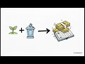 Coop Accounting Part 11.3 - Education and Training Fund Ex2