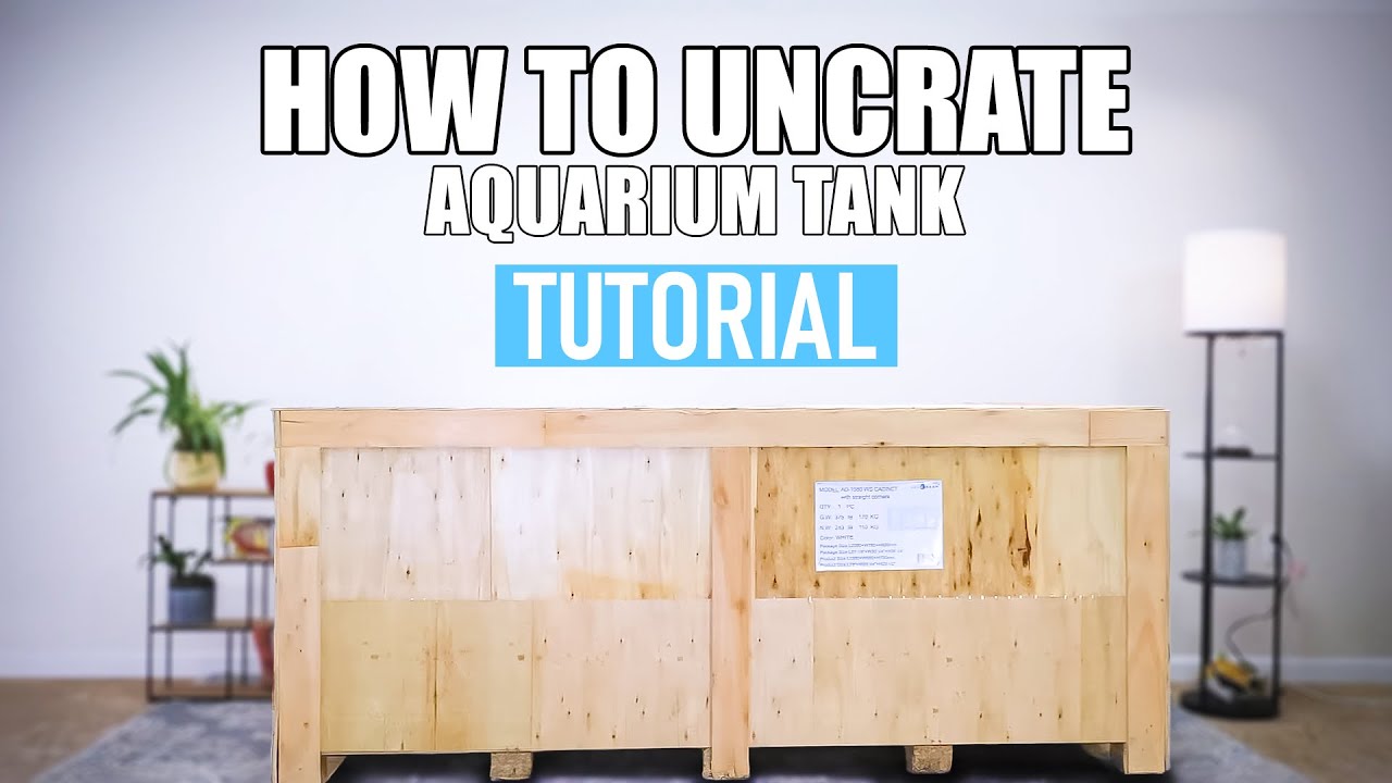 Aquarium Setup Guides: Expert Tips from Aqua Dream USA