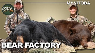 Unique Manitoba Black Bear Hunt | Canada in the Rough