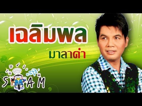 สะอื้นอวยพร - เฉลิมพล มาลาคำ [Lyrics video]