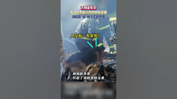 废弃民房起火，狗狗到处徘徊，消防员“读”懂了它的意思。  #万物皆有灵 - 天天要闻