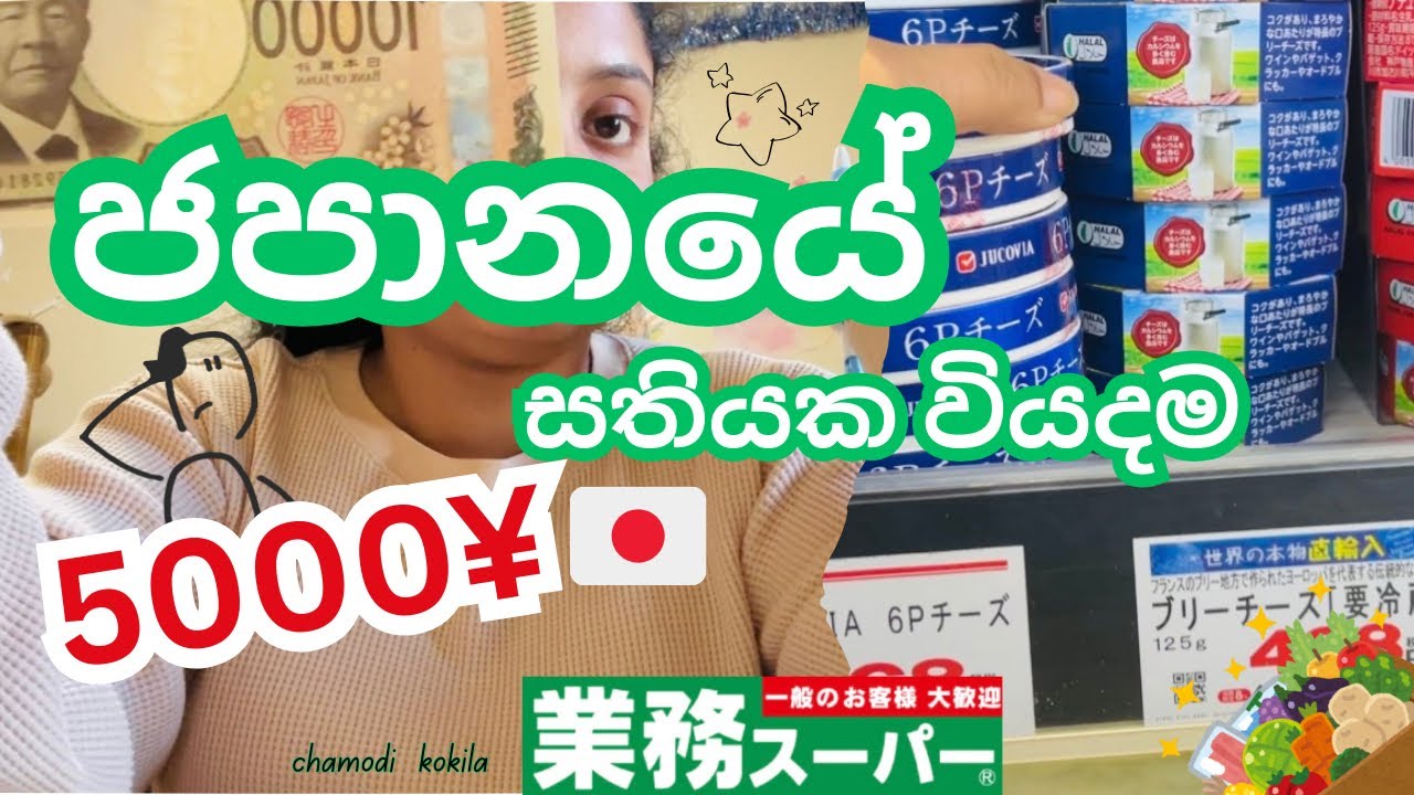 සතියක ගෙදරට ඕන බඩු ගේන්න ගියා 🥰 | weekend  grocery shopping in japan 🍃 | Life In Japan 🎌