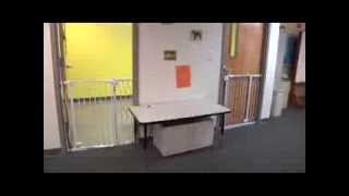 TBC Training Video: Toddler Room Security Gates