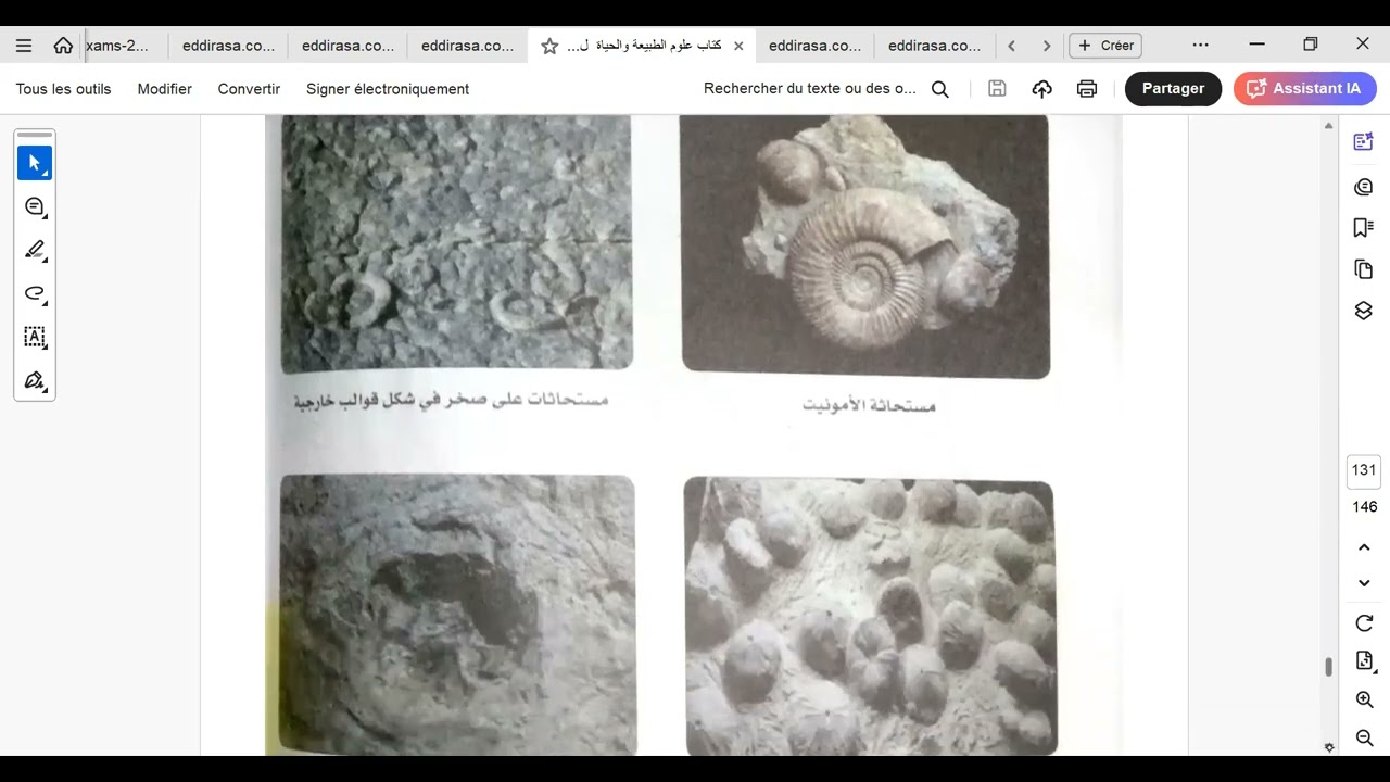 المستحاثات و أهميتها سنة ثانية  متوسط