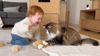 Cute Baby Playing With Gentle Cat Compilation 🐱👶 Funny Baby Pets 2026
