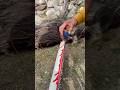 Chainsaw Videos For Toddlers Chainsaw Sound Effect Youtubeshorts Shortsfeed Shorts 