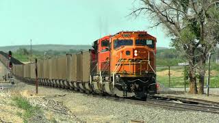 BNSF empty coal train Bragdon, Colorado