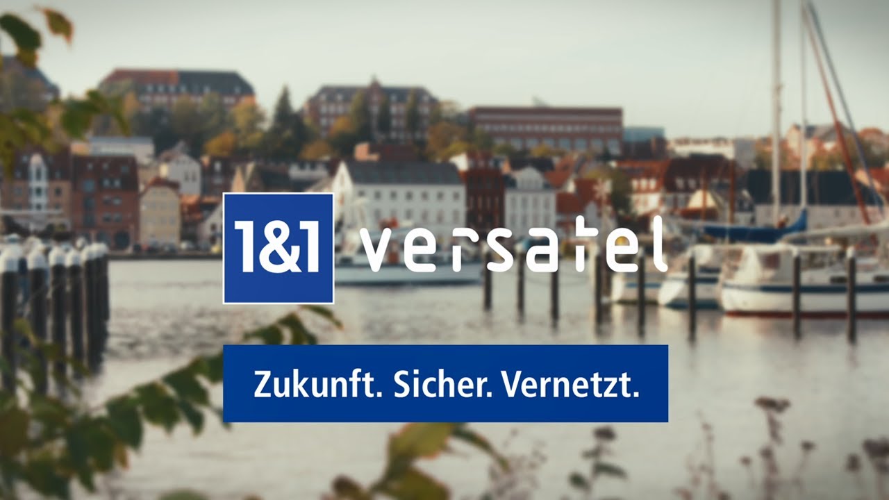 Dansk Skoleforening for Sydslesvig e. V. – Glasfaser und SD-WAN mit DDoS-Schutz im Schulalltag