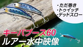 【キー・パプース60】だたのシンキングミノーじゃない!使い方一つで魚の「やる気スイッチをON」させるトリッキーなミノー