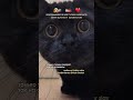 Девочки!!!! Это реально замуж за иностранца   #шортс #short  #shorts #замуж_за_турка