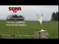 Top 4 Holiday Season Sparkling  Wines