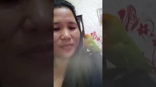 Ibong Mahilig Humalik