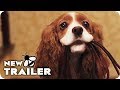 Lady And The Tramp Movie Disney Plus