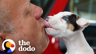 Brave Puppy Rescued By Firefighters | The Dodo
