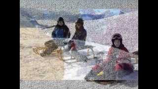 Sledging on Mount Rigi 2011
