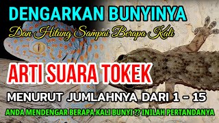 Penasaran Terhadap Maknanya ?? Arti Suara Tokek Ganjil Genap Menurut Jumlahnya Berapa Kali Bunyi