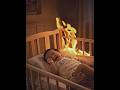 A miracle! A Labrador saves a baby from the flames!