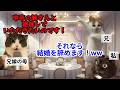 【スカッと猫ミーム】「中卒は家の恥！」と結婚式で絶縁を要求する義母→私の正体が取引先の”超人気作家”と知り態度豹変w 手のひら返しするも時すでに遅しwww #猫ミーム
