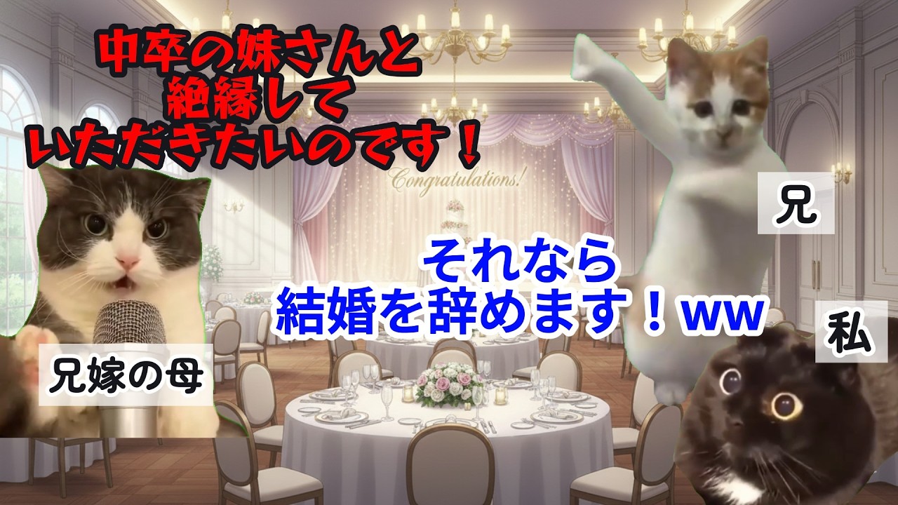【スカッと猫ミーム】「中卒は家の恥！」と結婚式で絶縁を要求する義母→私の正体が取引先の”超人気作家”と知り態度豹変w 手のひら返しするも時すでに遅しwww #猫ミーム