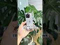 iPhone 14 Pro - Vẫn tối tân mà không thủng ví #xuhuong #iphone14pro
