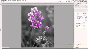 Capture NX 2: Selective Black & White